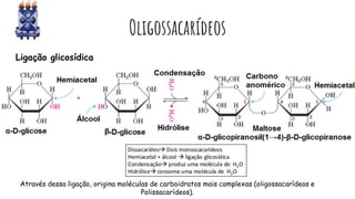 Oligossacarídeos
Ligação glicosídica
Através dessa ligação, origina moléculas de carboidratos mais complexas (oligossacarídeos e
Polissacarídeos).
 