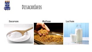 Dissacarídeos
Sacarose Maltose Lactose
 