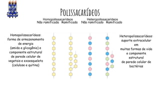 PolissacarídeosHomopolissacarídeos
Não ramificada Ramificada
Heteropolissacarídeos
Não ramificado Ramificado
Homopolissacarídeos:
forma de armazenamento
de energia
(amido e glicogênio) e
componente estrutural
de parede celular de
vegetais e exoesqueleto
(celulose e quitina)
Heteropolissacarídeos:
suporte extracelular
em
muitas formas de vida
e componente
estrutural
de parede celular de
bactérias
 