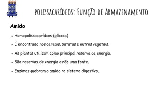 polissacarídeos: Função de Armazenamento
Amido
● Homopolissacarídeos (glicose)
● É encontrado nos cereais, batatas e outros vegetais.
● As plantas utilizam como principal reserva de energia.
● São reservas de energia e não uma fonte.
● Enzimas quebram o amido no sistema digestivo.
 