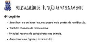 polissacarídeos: Função Armazenamento
Glicogênio
● Semelhante a amilopectina, mas possui mais pontos de ramificação.
● Também chamado de amido animal.
● Principal reserva de carboidratos nos animais.
● Armazenada no fígado e nos músculos.
 
