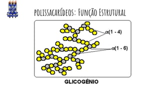 polissacarídeos: Função Estrutural
 