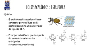 Polissacarídeos: Estrutura
Quitina
● É um homopolissacarídeo linear
composto por resíduos de N-
acetilglicosamina unidas através
de ligação β1-4.
● Principal substância que faz parte
do esqueleto externo dos
artrópodes
(crustáceos,aracnídeos).
 