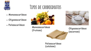 Tipos de carboidratos
● Monossacarídeos
● Oligossacarídeos
● Polissacarídeos
Monossacarídeos
(frutose)
Oligossacarídeos
(sacarose)
Polissacarídeos
(celulose)
 
