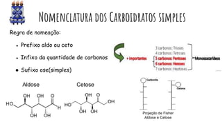Nomenclatura dos Carboidratos simples
Regra de nomeação:
● Prefixo aldo ou ceto
● Infixo da quantidade de carbonos
● Sufixo ose(simples)
Projeção de Fisher
Aldose e Cetose
Aldose Cetose
 