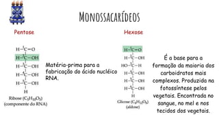 Monossacarídeos
Pentose Hexose
Matéria-prima para a
fabricação do ácido nucléico
RNA.
É a base para a
formação da maioria dos
carboidratos mais
complexos. Produzida na
fotossíntese pelos
vegetais. Encontrada no
sangue, no mel e nos
tecidos dos vegetais.
 