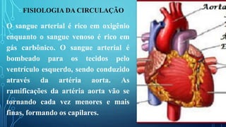 FISIOLOGIA DA CIRCULAÇÃO
O sangue arterial é rico em oxigênio
enquanto o sangue venoso é rico em
gás carbônico. O sangue arterial é
bombeado para os tecidos pelo
ventrículo esquerdo, sendo conduzido
através da artéria aorta. As
ramificações da artéria aorta vão se
tornando cada vez menores e mais
finas, formando os capilares.
 
