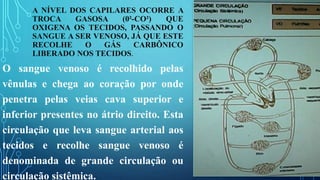 A NÍVEL DOS CAPILARES OCORRE A
TROCA GASOSA (0²-CO²) QUE
OXIGENA OS TECIDOS, PASSANDO O
SANGUE A SER VENOSO, JÁ QUE ESTE
RECOLHE O GÁS CARBÔNICO
LIBERADO NOS TECIDOS.
O sangue venoso é recolhido pelas
vênulas e chega ao coração por onde
penetra pelas veias cava superior e
inferior presentes no átrio direito. Esta
circulação que leva sangue arterial aos
tecidos e recolhe sangue venoso é
denominada de grande circulação ou
circulação sistêmica.
 