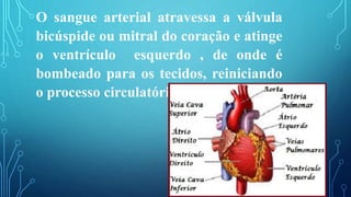O sangue arterial atravessa a válvula
bicúspide ou mitral do coração e atinge
o ventrículo esquerdo , de onde é
bombeado para os tecidos, reiniciando
o processo circulatório.
 