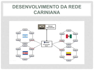 DESENVOLVIMENTO DA REDE
CARINIANA
 