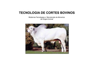 Modernas Tecnologias e Manutenção de Alimentos
de Origem Animal
TECNOLOGIA DE CORTES BOVINOS
 