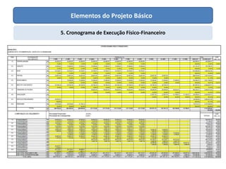 Elementos do Projeto Básico
5. Cronograma de Execução Físico-Financeiro
 