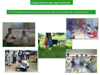Capacitação dos agricultores


115.000 Beneficiários participando das atividades de capacitação
 