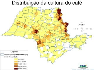Distribuição da cultura do café
 