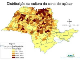 Distribuição da cultura da cana-de-açúcar
 