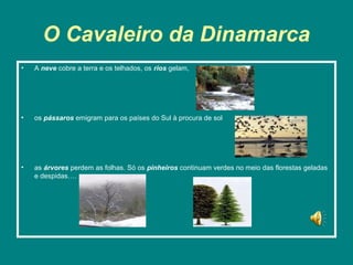O Cavaleiro da Dinamarca
•   A neve cobre a terra e os telhados, os rios gelam,




•   os pássaros emigram para os países do Sul à procura de sol




•   as árvores perdem as folhas. Só os pinheiros continuam verdes no meio das florestas geladas
    e despidas….
 