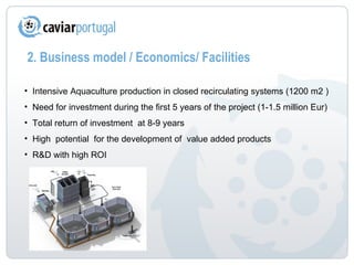 2. Business model / Economics/ Facilities  Intensive Aquaculture production in closed recirculating systems (1200 m2 ) Need for investment during the first 5 years of the project (1-1.5 million Eur) Total return of investment  at 8-9 years High  potential  for the development of  value added products  R&D with high ROI  