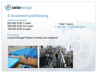 5. Investment and financing Total Investment : 600.000 EUR (1 year) 500.000 EUR (3-4 year) 100.000 EUR (5 year) Financing : Caviar Portugal Project Investors are welcome!  Total 7 years: 1.100.000 – 1.500.000 EUR 