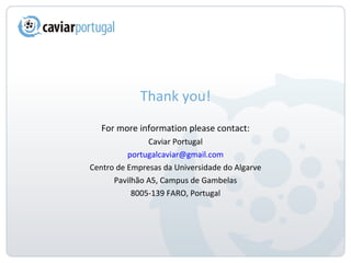 Thank you! For more information please contact: Caviar Portugal [email_address] Centro de Empresas da Universidade do Algarve Pavilhão A5, Campus de Gambelas 8005-139 FARO, Portugal 