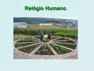 Relógio Humano
 