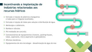 Extrusão e injeção de plásticos (mangueiras
e tubos para a irrigação localizada).
Extrusão e injeção de tubos para adução e distribuição de água.
Metalurgia e caldeiraria.
Bombas e válvulas.
Pré-moldados de concreto.
Concessionárias de equipamentos (tratores, packing-houses,
tubos, aspersores, micro-aspersores e gotejadores).
Oficinas mecânicas.
Equipamentos de alta tecnologia – dessalinização da água do mar.
Incentivando a implantação de
indústrias relacionadas aos
recursos hídricos
 