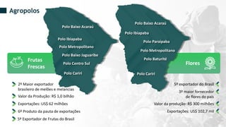 Flores
Frutas
Frescas
Polo Baixo Jaguaribe
Polo Baixo Acaraú
Polo Metropolitano
Polo Ibiapaba
Polo Centro Sul
Polo Cariri
Polo Baixo Acaraú
Polo Paraipaba
Polo Metropolitano
Polo Baturité
Polo Ibiapaba
Polo Cariri
Agropolos
2º Maior exportador
brasileiro de melões e melancias
Valor da Produção: R$ 1,0 bilhão
Exportações: US$ 62 milhões
6º Produto da pauta de exportações
5º Exportador de Frutas do Brasil
5º exportador do Brasil
3º maior fornecedor
de flores do país
Valor da produção: R$ 300 milhões
Exportações: US$ 102,7 mil
 