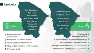 Leite Caju
Agropolos
Polo Sertão Central
Polo Baixo Acaraú
Polo Fortaleza
Polo Sobral
Polo Inhamus
Polo Jaguaribe
Polo Salgado
Polo Cariri
Polo Extremo Norte
Polo Baixo Acaraú
Polo Litoral Oeste
Polo Litoral Leste
Polo Pacajus
Polo Cariri
Produção em todos
os municípios
Produção de 797 milhões de litros
Valor da produção: R$ 800 milhões
45 agroindústrias do leite em 25 municípios
3° Produtor do NE
1º produtor e
exportador brasileiro
4º produto da pauta de exportações do Estado
Valor da produção: R$ 255,00 milhões
Exportações de Castanha (ACC) – US$ 99,0 milhões
Exportações de Extrato (LCC) – US$ 2,4 milhões
 