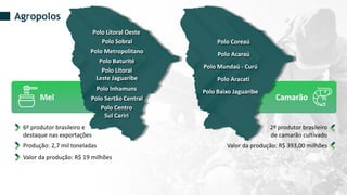 Mel Camarão
Agropolos
6º produtor brasileiro e
destaque nas exportações
Produção: 2,7 mil toneladas
Valor da produção: R$ 19 milhões
2º produtor brasileiro
de camarão cultivado
Valor da produção: R$ 393,00 milhões
Polo Baturité
Polo Litoral Oeste
Polo Metropolitano
Polo Sobral
Polo Litoral
Leste Jaguaribe
Polo Inhamuns
Polo Sertão Central
Polo Centro
Sul Cariri
Polo Extremo Norte
Polo Baixo Acaraú
Polo Litoral Oeste
Polo Litoral Leste
Polo Pacajus
Polo Cariri
Polo Coreaú
Polo Acaraú
Polo Mundaú - Curú
Polo Aracati
Polo Baixo Jaguaribe
 