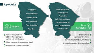 Tilápia
Cera
Carnaúba
Polo Sobral
Polo Pentecoste
Polo Fortaleza
Polo Banabuiú
Polo Castanhão
Polo Orós
Agropolos
Potencial de produção
200 mil T e exportações
de US$ 100 milhões/ano
Maior consumo de pescado do Brasil
Produção de R$ 300,00 milhões
1º produtor e
exportador brasileiro
Exportações de US$ 68,8 milhões
5º produto da pauta de exportações
Polo Litoral Leste
Polo Itapipoca
Polo Sobral
Polo Metropolitano
Polo Litoral Aracati
Polo Quixeramobim
Polo Jaguaribe
 