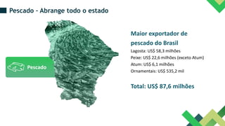 Maior exportador de
pescado do Brasil
Lagosta: US$ 58,3 milhões
Peixe: US$ 22,6 milhões (exceto Atum)
Atum: US$ 6,1 milhões
Ornamentais: US$ 535,2 mil
Pescado
Pescado – Abrange todo o estado
Total: US$ 87,6 milhões
 