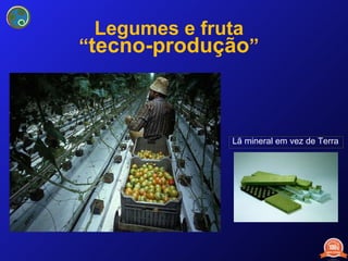 Legumes e fruta “ tecno-produção ” Lã mineral em vez de Terra 