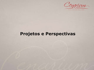 Projetos e Perspectivas 