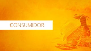 CONSUMIDOR
 
