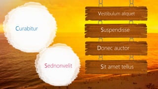 Sit amet tellus
Donec auctor
Suspendisse
Vestibulum aliquet
Sednonvelit
Curabitur
 