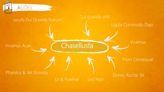 Chasellusfa
AÇÕES
Vivamus Acan
Pharetra & Vel Gravida
Ut & Pulvinar Sed Non
Donec Auctor Sit
Vivamus
Proin Consequat
Ligula Commodo Dapi
Cut gravida velit
Iaculis Dui Gravida Rutrum
 