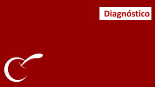 Comunicação Externa Não possui padrão ou responsável