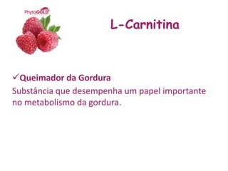 L-Carnitina



Queimador da Gordura
Substância que desempenha um papel importante
no metabolismo da gordura.
 