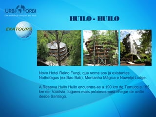HUILO - HUILO




Novo Hotel Reino Fungi, que soma aos já existentes
Nothofagus (ex Bao Bab), Montanha Mágica e Nawelpi Lodge.

A Reserva Huilo Huilo encuentra-se a 190 km de Temuco e 165
km de Valdivia, lugares mais próximos para chegar de avião
desde Santiago.
 