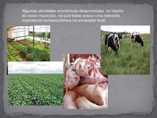 Algumas atividades econômicas desenvolvidas  no interior do nosso município, na qual todas possui uma relevante importância socioeconômica na sociedade local.