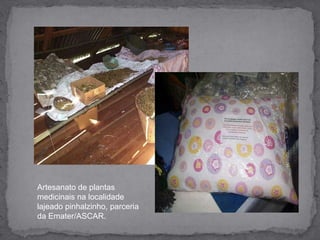 Artesanato de plantas medicinais na localidade  lajeado pinhalzinho, parceria da Emater/ASCAR.