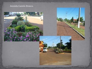 Avenida Castelo Branco..