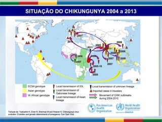 SITUAÇÃO DO CHIKUNGUNYA 2004 a 2013 
 