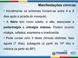 Manifestações clínicas 
• Inicialmente os sintomas iniciam-se entre 4 e 8 
dias após a picada do mosquito 
• A febre tem início súbito, é alta, associada a 
poliartralgia e artralgia intensa. Podem ocorrer 
mialgia, cefaleia, exantema e bradicardia 
• Pode cursar com 3 fases clínicas distintas: fase 
aguda (7 dias), subaguda (a partir do 10º dia) e 
crônica (a partir do 60º) 
 