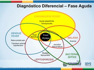 Diagnóstico Diferencial – Fase Aguda 
MALARIA 
DENGUE 
FEVER 
CHIKUNGUNYA FEVER 
Jaundice 
Renal failure 
Fever 
Myalgia 
Rash 
Bleedings 
Retro-orbital pain 
Transient arterial 
hypotension 
Acute polyarthritis 
Tenosynovitis 
Anemia 
LEPTOSPIROSIS 
Adapted from Simon et al, Schwartz, Infections in travelers, Ed 2009 
BACTERIAL 
SEPSIS 
Myalgia 
Myocarditis 
ADRS 
 