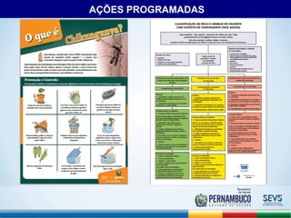 AÇÕES PROGRAMADAS 
 
