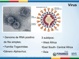Vírus 
• Genoma de RNA positivo 
de fita simples; 
• Família Togaviridae. 
•Gênero Alphavírus. 
3 subtipos: 
• West África 
•East South- Central África 
• Ásia 
Robinson MC. Trans R Soc Trop Med Hyg. 1955;49:28-32 
 