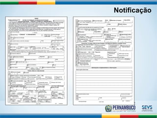 Notificação 
 