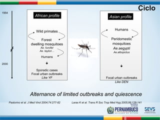 8 
1954 
2000 
African profile Asian profile 
Humans 
Peridomestic 
mosquitoes 
Ae.aegypti 
Ae.albopictus 
 
Focal urban outbreaks 
Like DEN 
Wild primates 
Forest 
dwelling mosquitoes 
Ae. furcifer 
Ae. taylori… 
Humans 
 
Sporadic cases 
Focal urban outbreaks 
Like YF 
Ciclo 
Alternance of limited outbreaks and quiescence 
Pastorino et al. J Med Virol 2004;74:277-82 Laras K et al. Trans R Soc Trop Med Hyg 2005;99:128-141 
 