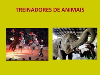 TREINADORES DE   ANIMAIS 