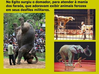 No Egito surgiu o domador, para atender à mania dos faraós, que adoravam exibir animais ferozes em seus desfiles militares.  